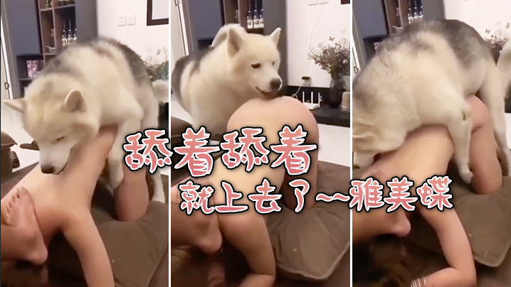 舔着.舔着就上.去了雅.美蝶封面图