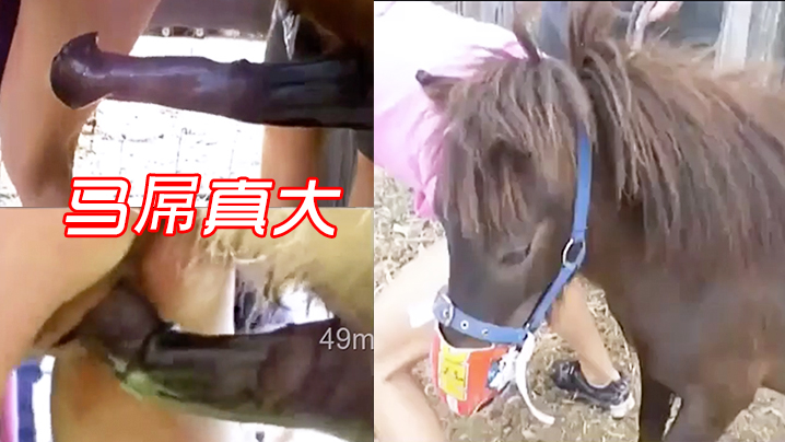 马屌真大封面图