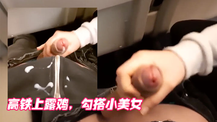 高铁上露鸡勾搭小美女封面图