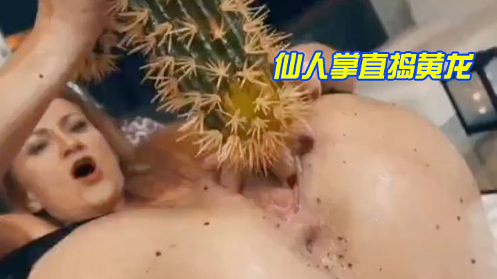 仙.人掌.直捣黄.龙封面图