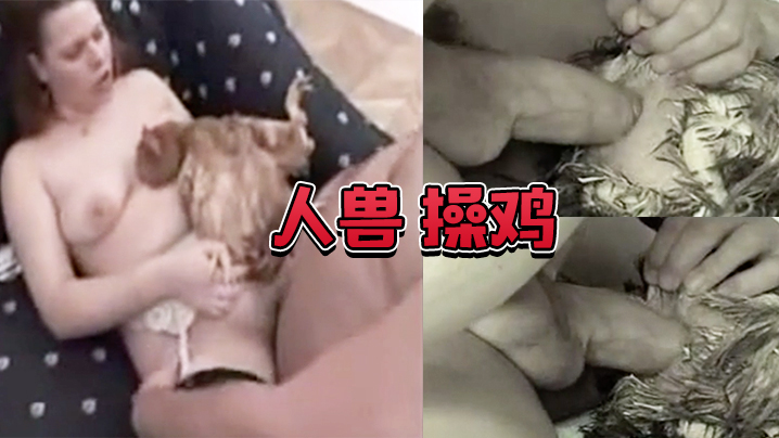 人兽操鸡操鸡屁眼是什么感觉封面图