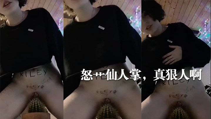 怒艹仙人掌真狠人啊封面图