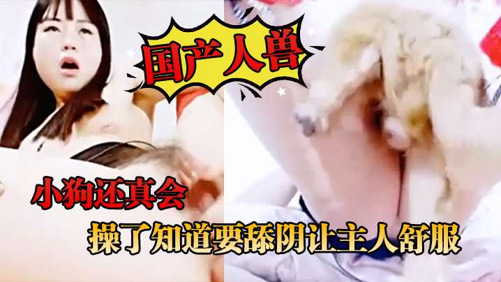 国产人兽小狗还真会操了知道要舔阴让主人舒服封面图