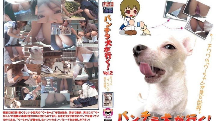 PUROD-072 - 拳击狗要去冒险！第二卷即将到来，敬请期待