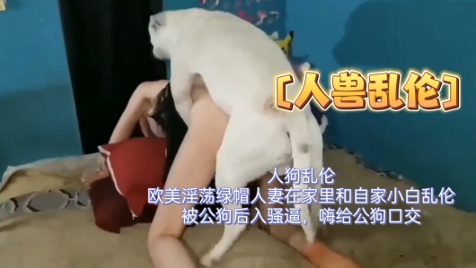 人狗乱伦，欧美淫荡绿帽人妻在家里和自家小白乱伦，被公狗后入骚逼，还给公狗口交