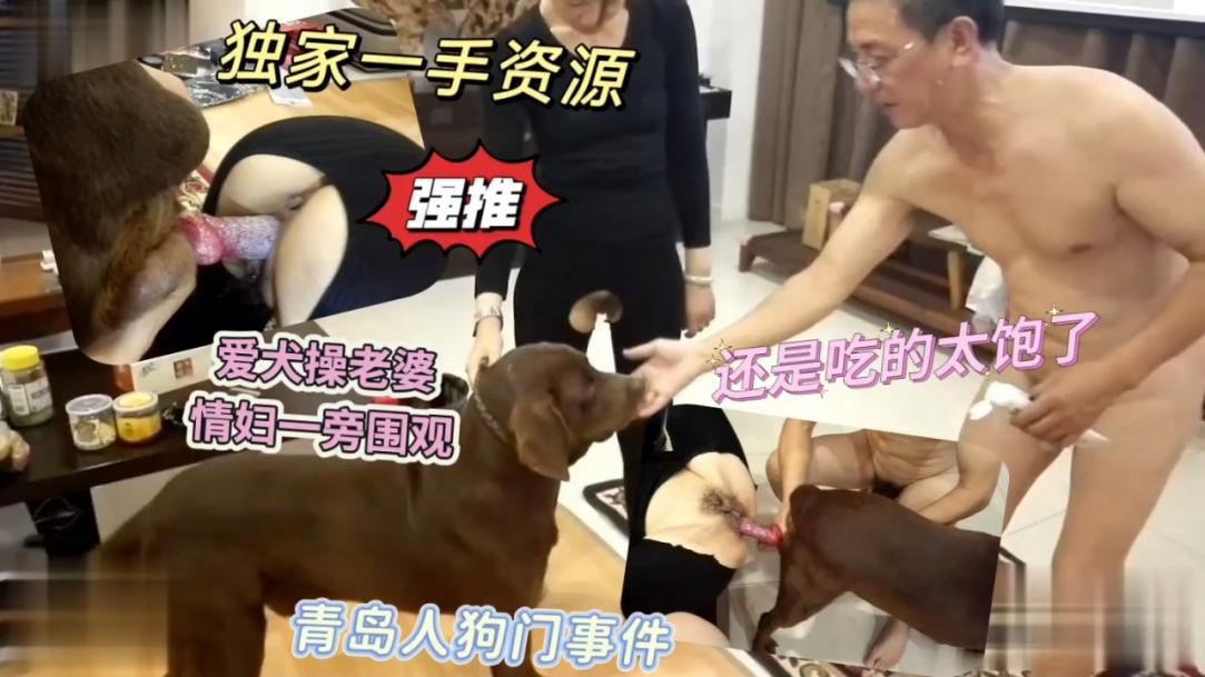 独家资源!青岛一大佬追求刺激让爱犬操老婆情妇旁观