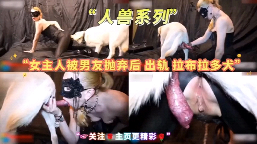 经典人兽系列，女主人出轨拉不拉多！封面图